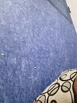 VAMOUS_ webcam