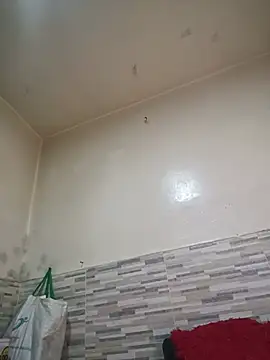 AvaChannel webcam