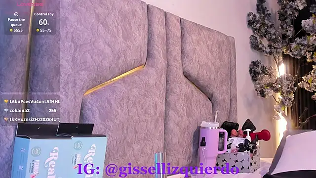 Liincostelloo webcam