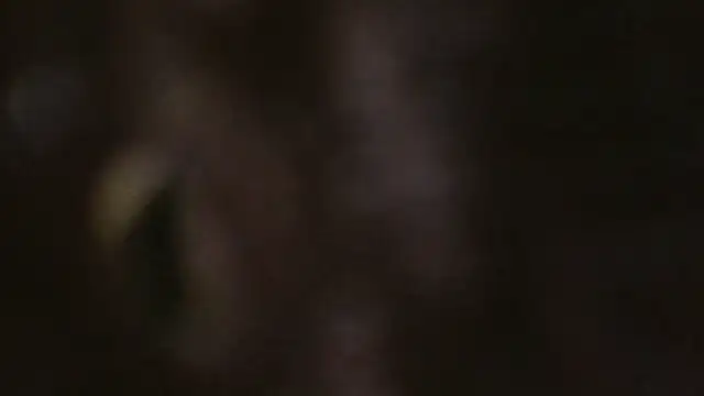 VenezuelaLuxeNoir webcam