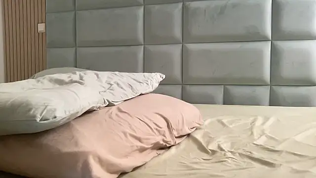 RosaDream webcam
