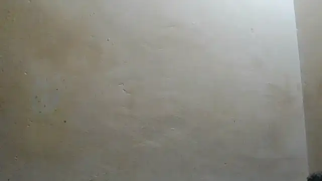 Cozybear webcam