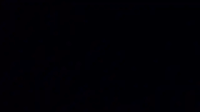 A_model1 webcam