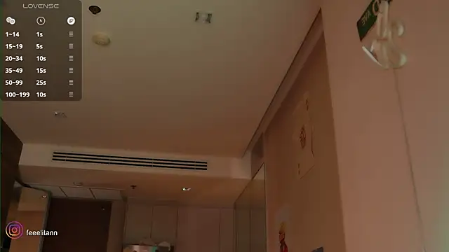 feelitann webcam