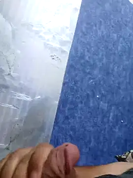VAMOUS_ webcam