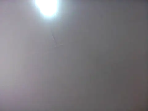 bogbosdick webcam