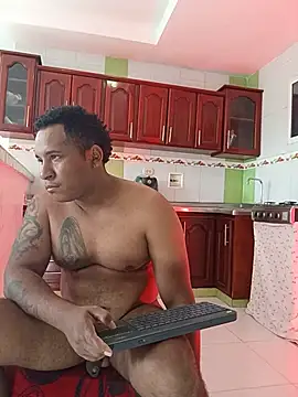 ARTHUR_MINI webcam