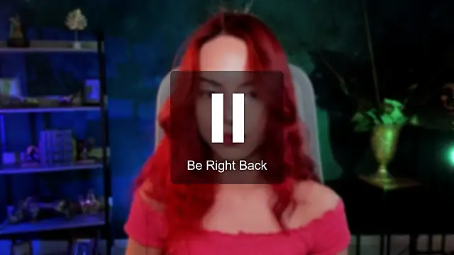 evanellson webcam