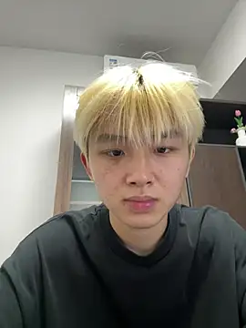Cnmp6666 webcam