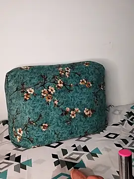 juhicpl143 webcam