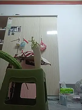 July-Asian webcam