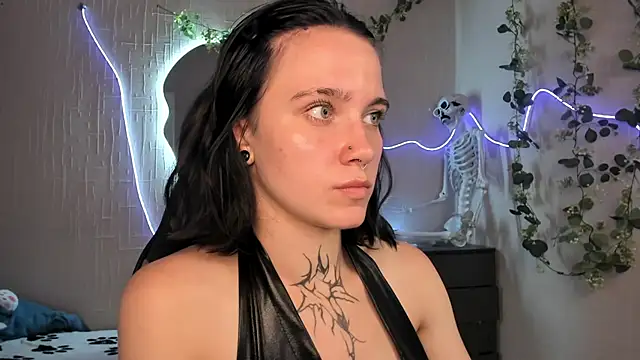 Elastikisss webcam