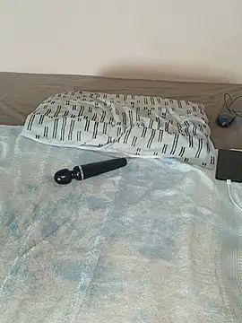 lineras webcam