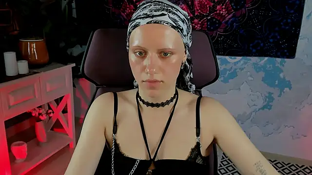 LidaDarknet webcam