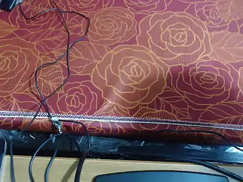 Azwo152333 webcam