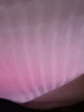 Minmin_sex webcam