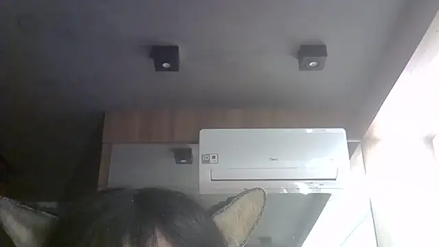SkinnyKitten webcam