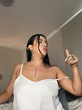 Samispank webcam