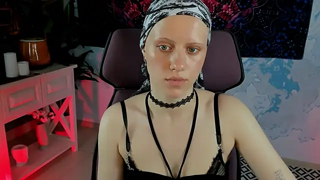LidaDarknet webcam