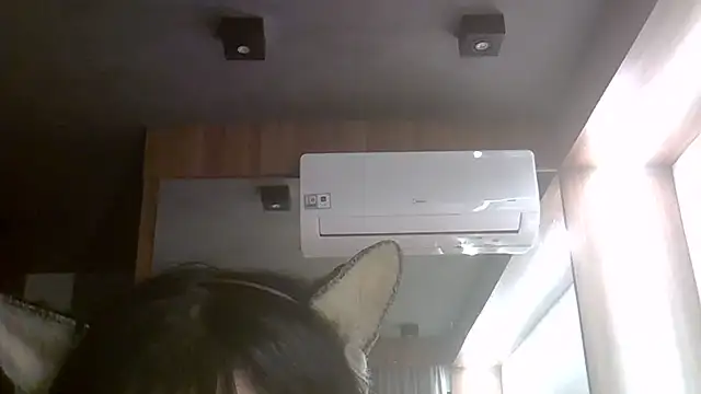 SkinnyKitten webcam