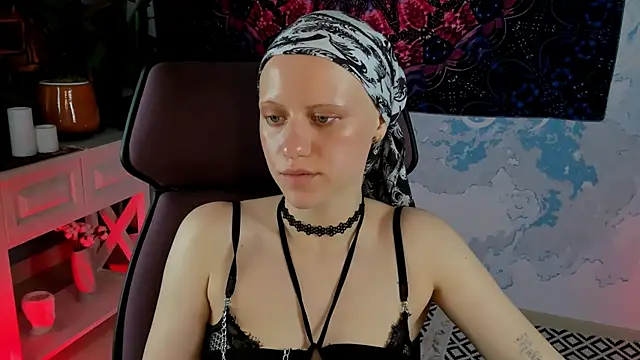 LidaDarknet webcam