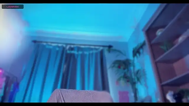MelissaTetris webcam