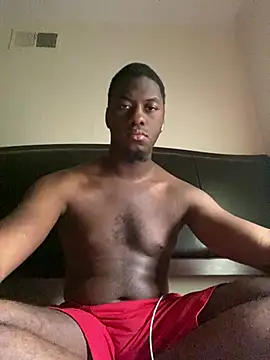 ThickDic28 webcam