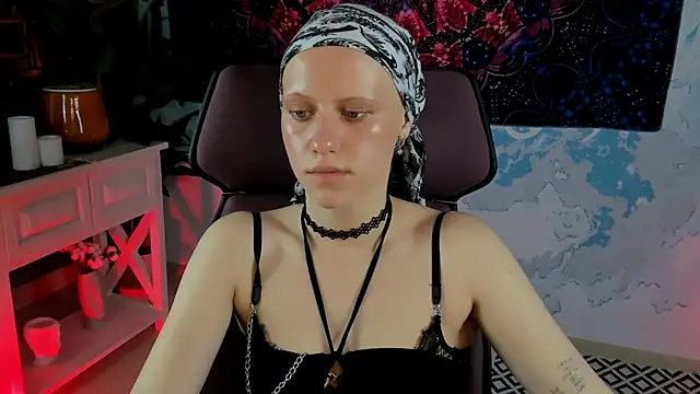 LidaDarknet webcam