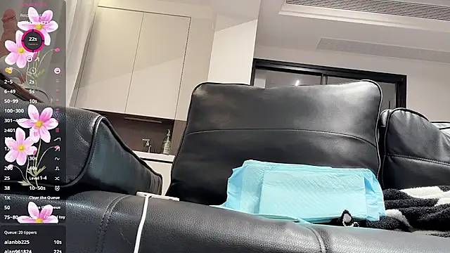 BBi-0329 webcam