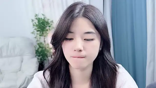 Nicoa2026 webcam