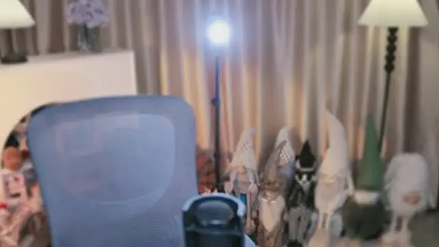 singer-ok webcam