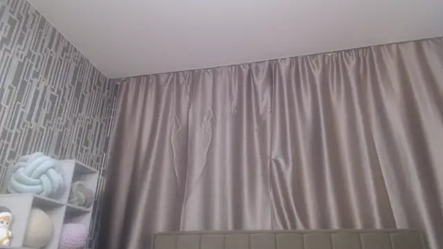 scyrim2 webcam