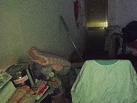 RebelAura webcam