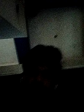 Anji8639 webcam