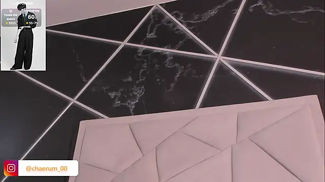 AerumChae webcam
