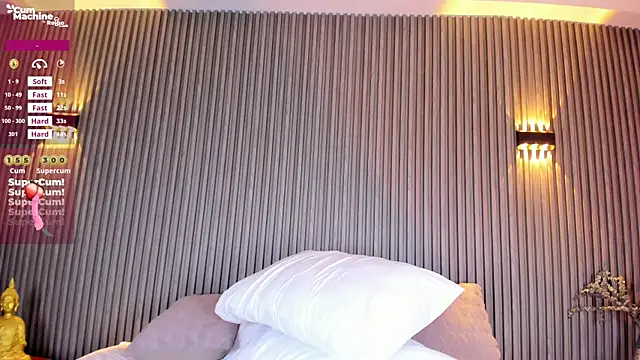 Ahincale webcam