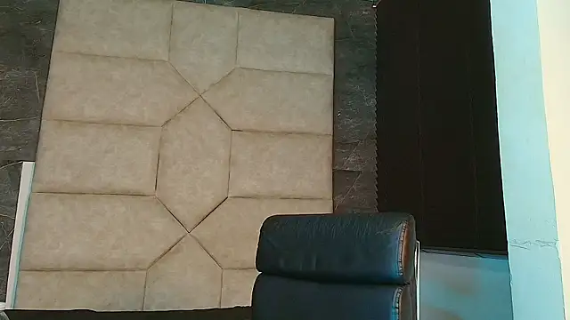 Tyler_Mcrey webcam