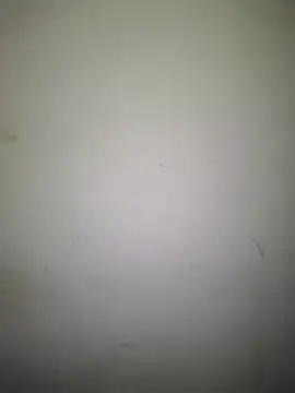 Doudoulecoquin webcam