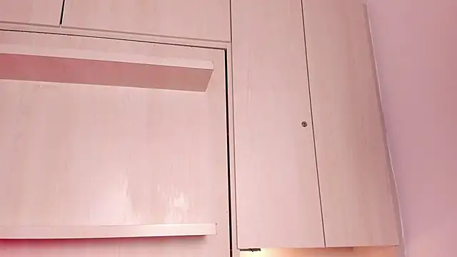 Stefannyevans_ webcam
