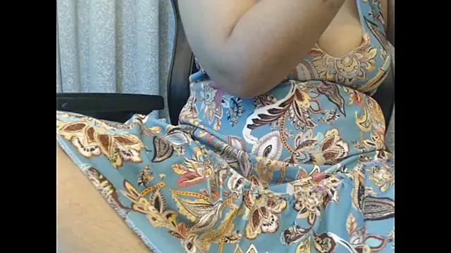 Model29 webcam