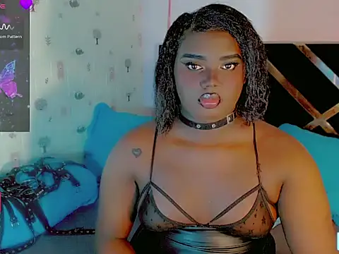 TheperfectblackTS webcam