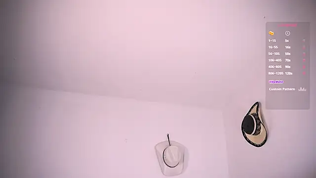 aydan_hw webcam