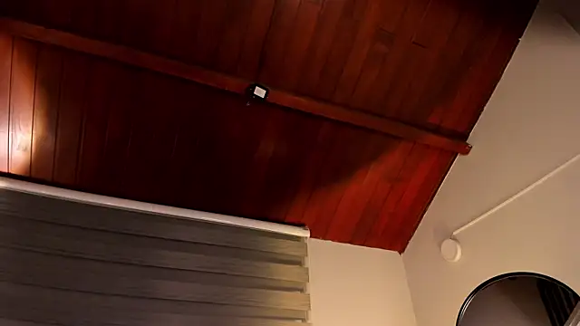 MERIDA_TAYLOR webcam