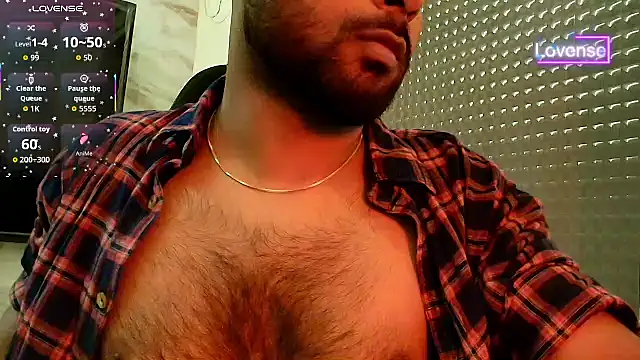 SilverShade3 webcam