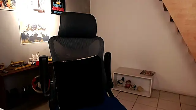 Thieves9 webcam