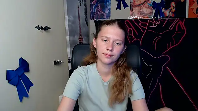 StellaCRL webcam