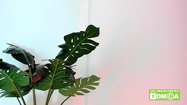 lovesweetash webcam