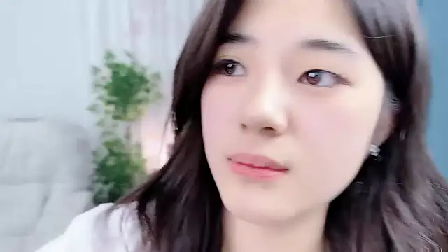 Nicoa2026 webcam