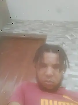 R-ant12 webcam