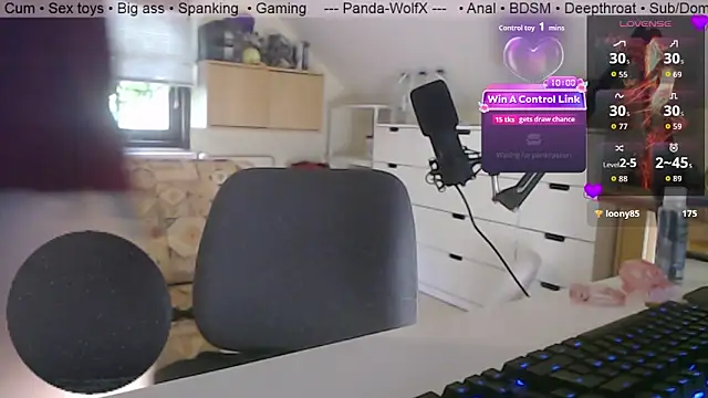 Panda-WolfX webcam